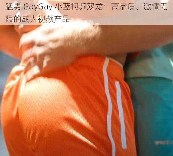 猛男 GayGay 小蓝视频双龙：高品质、激情无限的成人视频产品