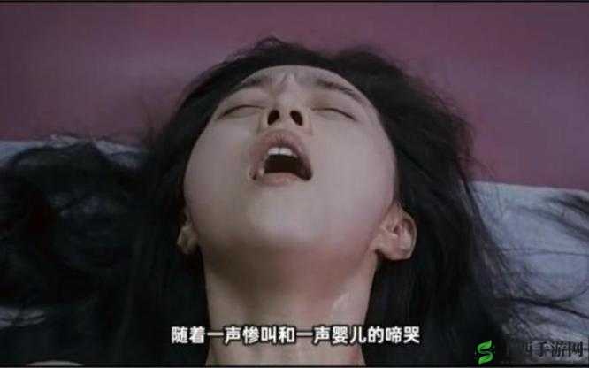 少妇与公豬交视频:探索欲望的边界