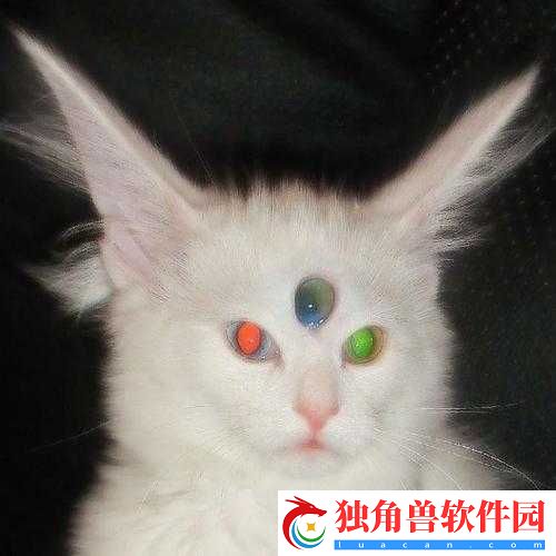 群星外星宠物有什么用-外星宠物作用解析攻略