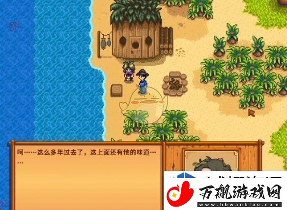 星露谷物语海盗的妻子任务怎么做