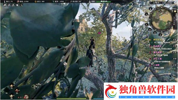 下一站江湖2轻功高手任务怎么做