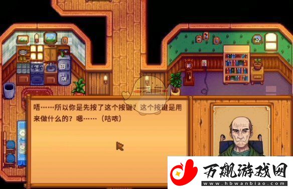 星露谷物语海盗的妻子任务怎么做
