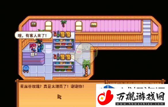 星露谷物语海盗的妻子任务怎么做