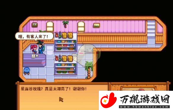 星露谷物语海盗的妻子任务怎么做