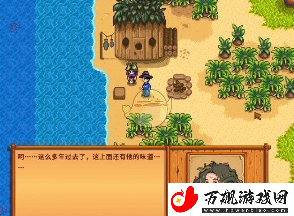 星露谷物语海盗的妻子任务怎么做