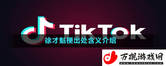 徐才魁是什么梗-抖音徐才魁梗出处含义介绍