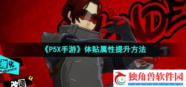 P5X手游体贴属性怎么提升：社交系统玩法深度解析