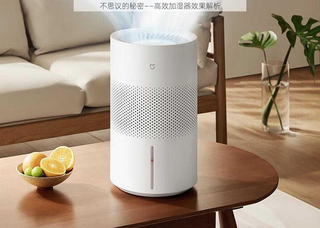 不思议的秘密——高效加湿器效果解析