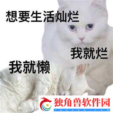 铜铜铜好大好刺激