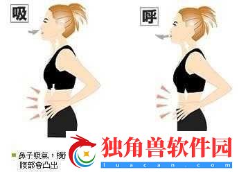 张开你的嘴巴吸进一些空气：探索呼吸的奥秘与重要性