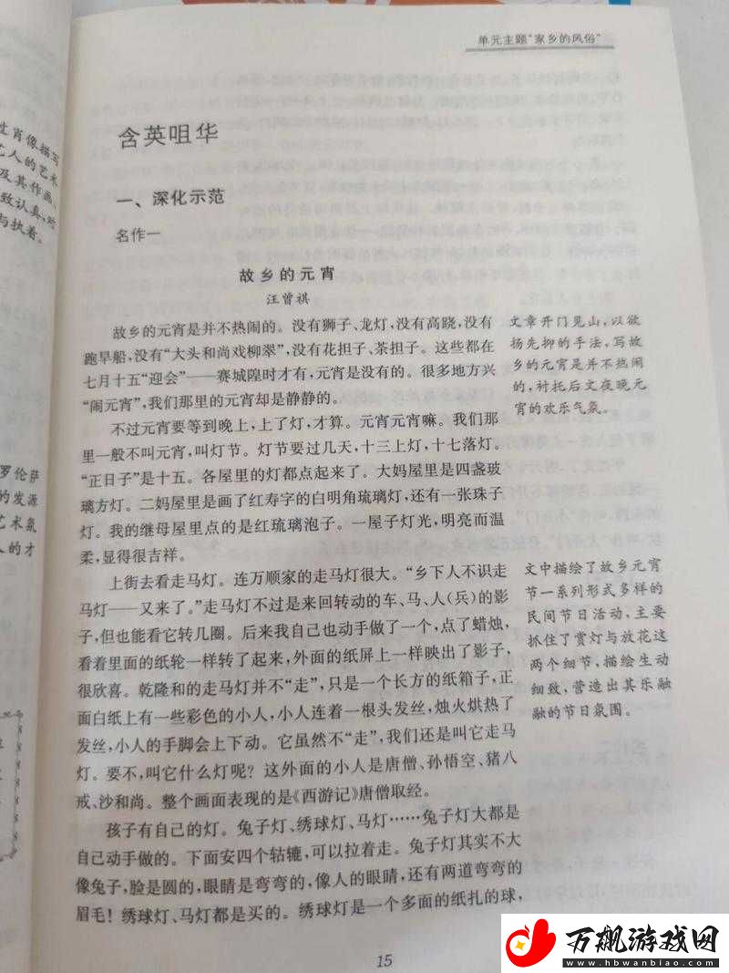 元宵夜游记忆：探索怀旧元素下的元宵通关攻略