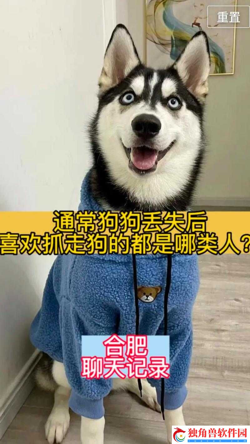 被自己家狗上瘾了怎么办：专家称需寻求专业帮助