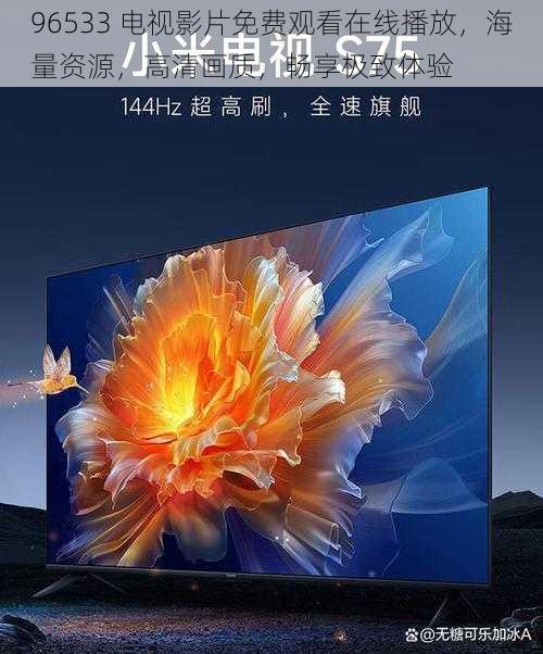 96533 电视影片免费观看在线播放,海量资源,高清画质,畅享极致体验