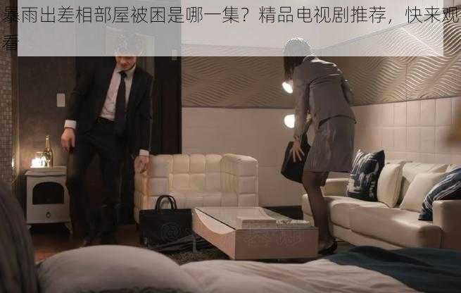 暴雨出差相部屋被困是哪一集？精品电视剧推荐，快来观看