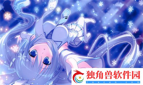四叶草M码和欧洲码的888区别：解析服装尺寸的国际标准差异