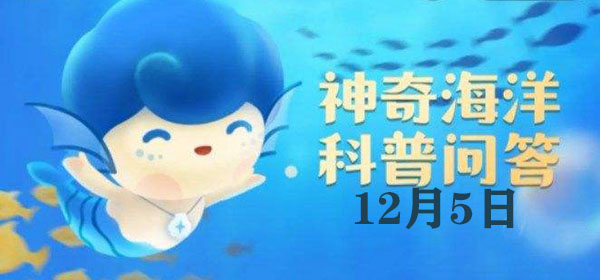 你知道吗？红树林湿地生态系统一般包括红树林、滩涂和：如何有效使用游戏中的传送系统？