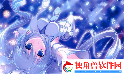免费B站在线观看人数在哪儿找：快速搭建，节省开发时间与成本