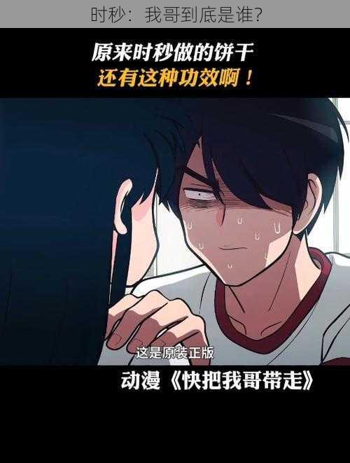时秒:我哥到底是谁?