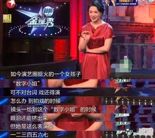 锵锵锵完整版在线观看