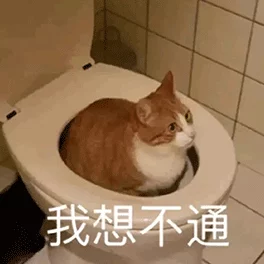 啊啊啊操：近期络热议-友们纷纷表达对这一现象的看法-引发广泛讨论与关注