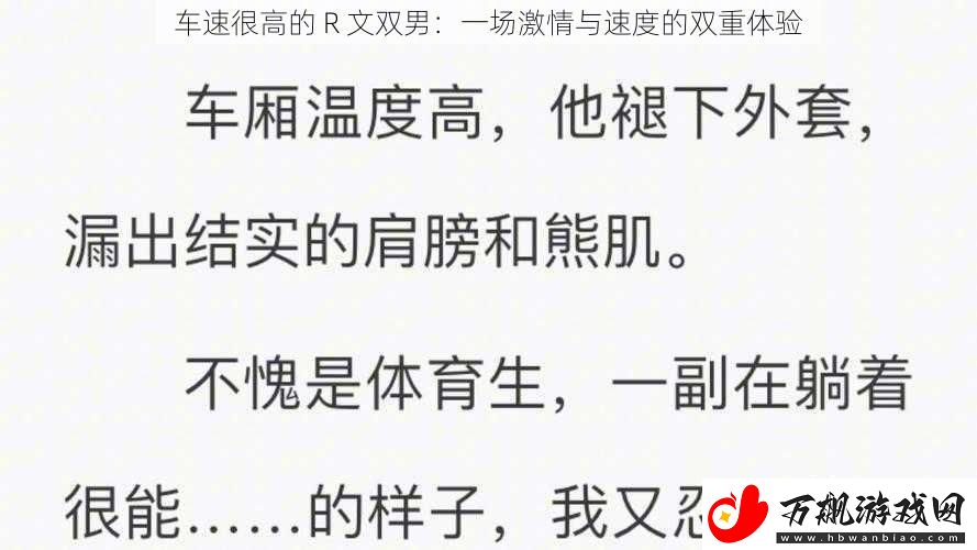 车速很高的-R-文双男：一场激情与速度的双重体验