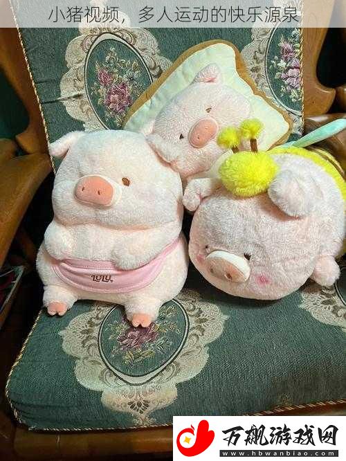 小猪视频-多人运动的快乐源泉