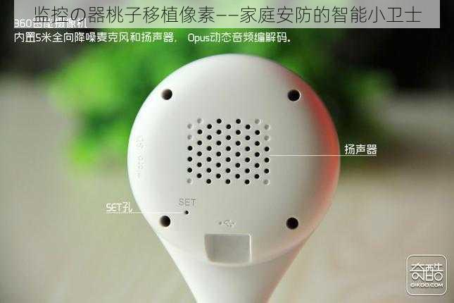 监控の器桃子移植像素——家庭安防的智能小卫士