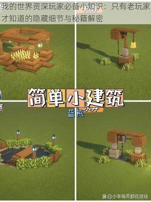 我的世界资深玩家必备小知识：只有老玩家才知道的隐藏细节与秘籍解密