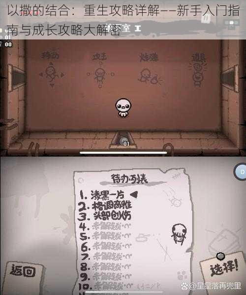 以撒的结合:重生攻略详解——新手入门指南与成长攻略大解密