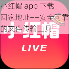 小红帽 app 下载回家地址——安全可靠的文件传输工具