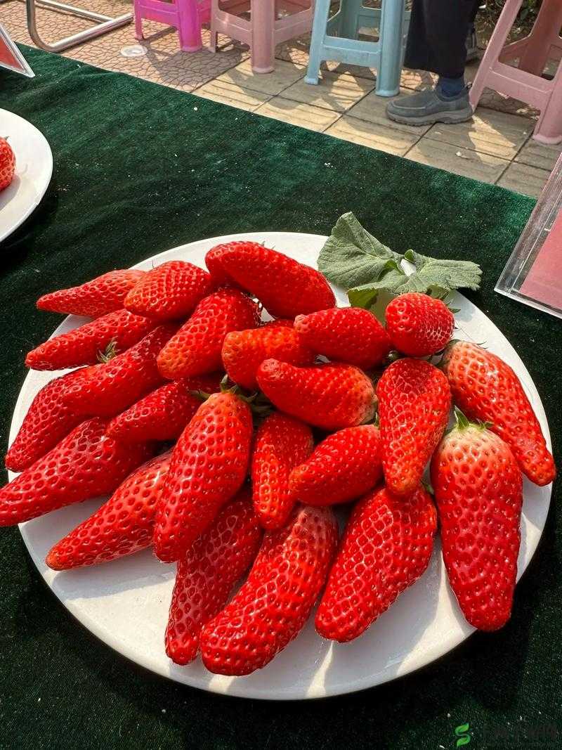 水果派对：草莓、香蕉、榴莲与丝瓜的奇妙组合