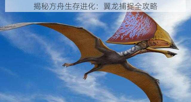 揭秘方舟生存进化：翼龙捕捉全攻略