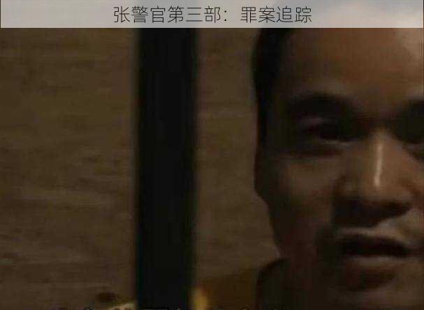 张警官第三部：罪案追踪