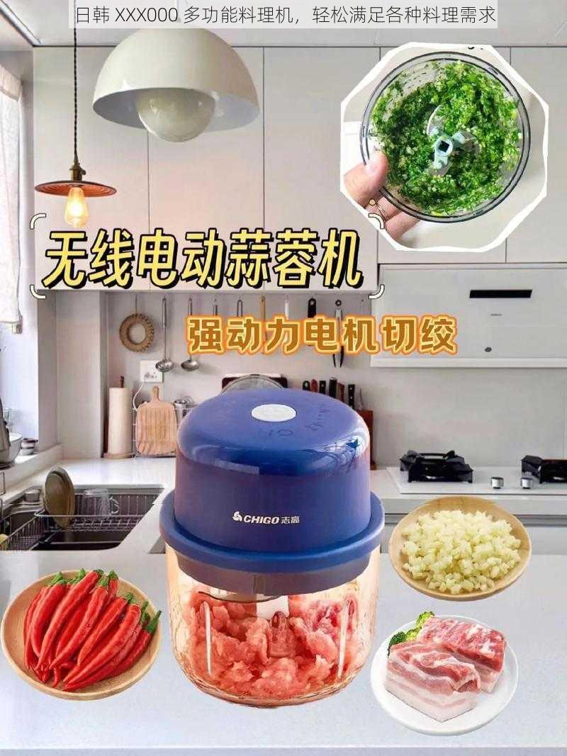 日韩 XXX000 多功能料理机,轻松满足各种料理需求