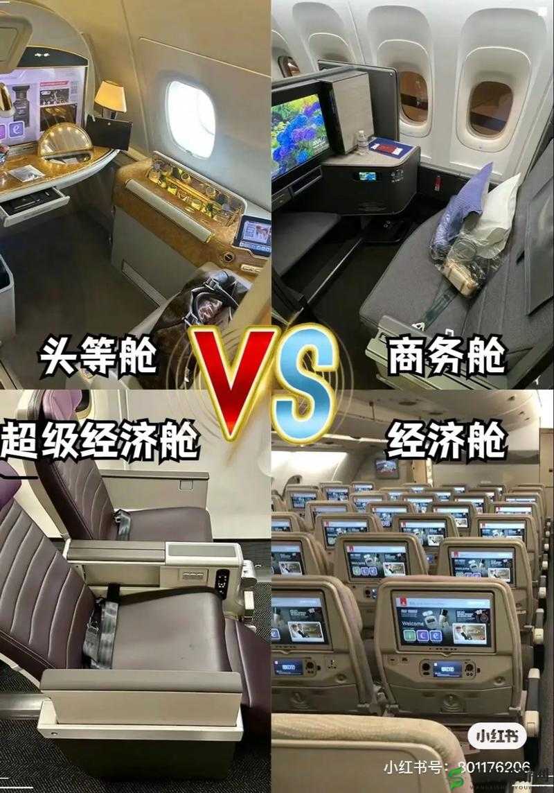 头等舱特殊待遇 2:详细解析