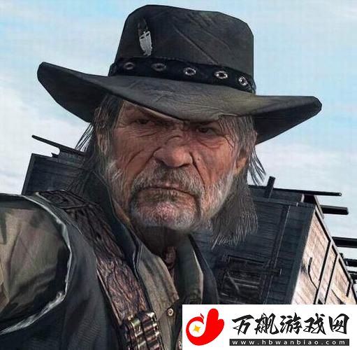 “老龄镖客”狂潮