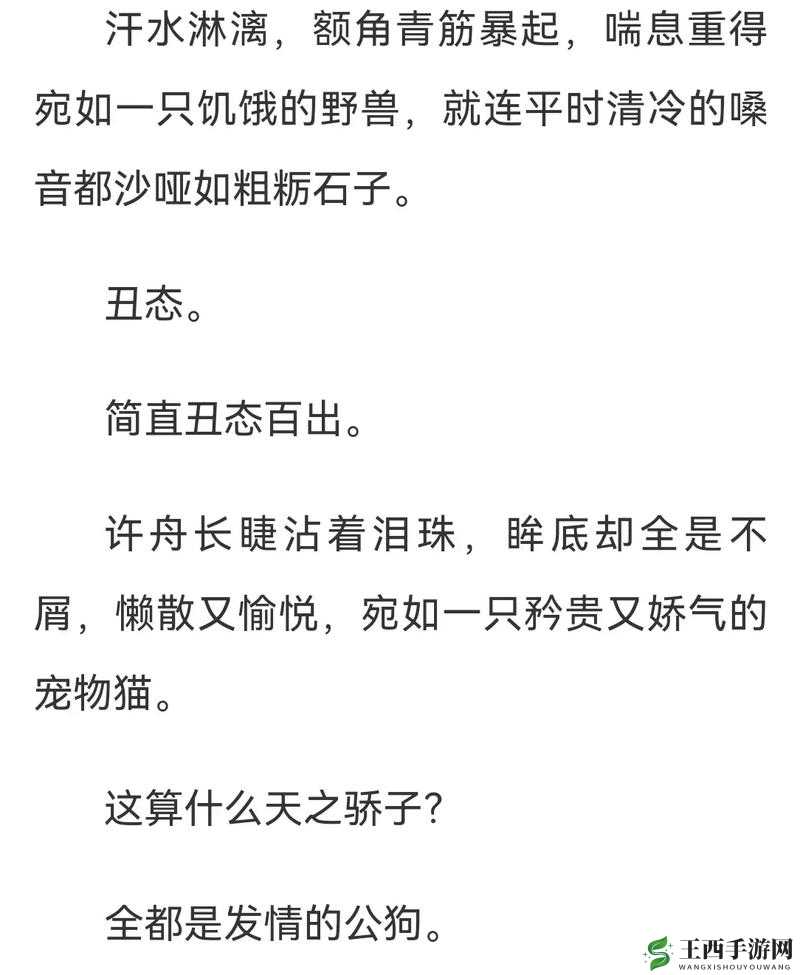 漂亮蠢货注定被炒烂:这是为何