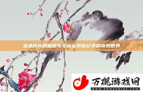 走进成长的秘密毛毛葆葆观察记录的奇妙世界