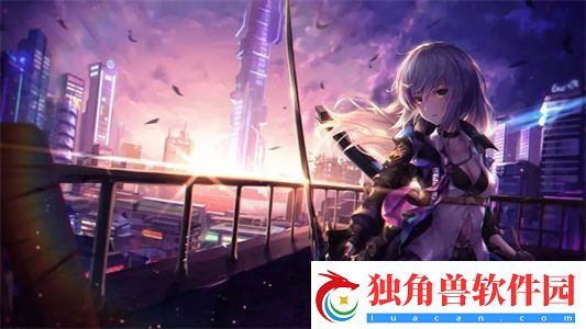 四叶草M码与欧洲码888的绝妙差异：风格与尺寸的碰撞