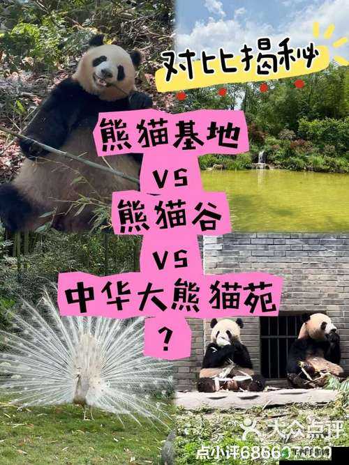 丛林大作战熊猫技能全揭秘超详细熊猫玩法攻略