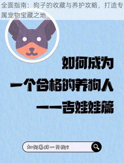 全面指南:狗子的收藏与养护攻略,打造专属宠物宝藏之地