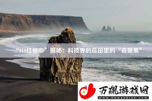 “911红领巾”揭秘：科技界的瓜田里的“奇葩果”