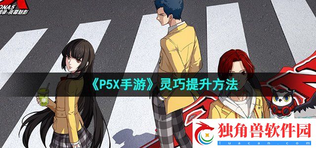 P5X手游灵巧怎么提升