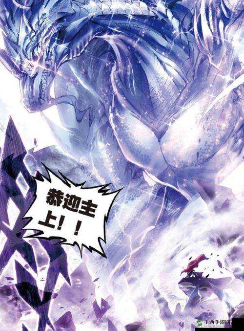 斗罗大陆中神秘无名信的用途究竟为何？