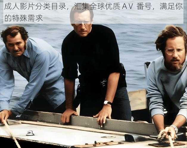 成人影片分类目录,汇集全球优质 AⅤ 番号,满足你的特殊需求