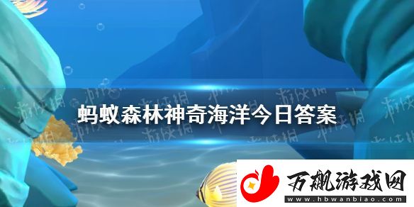 被称为海蜈蚣的海洋动物是