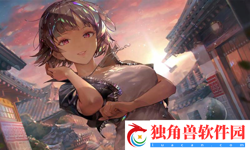 三叶草M码和欧洲码区别
