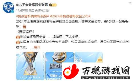 挑战者杯奖金公布