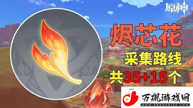 原神烬芯花采集路线-烬芯花在哪里可以采集