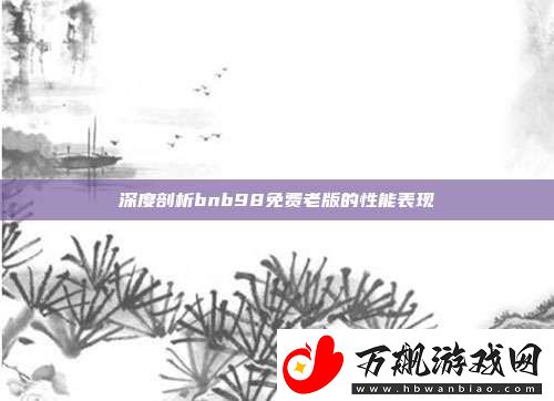 深度剖析bnb98免费老版的性能表现